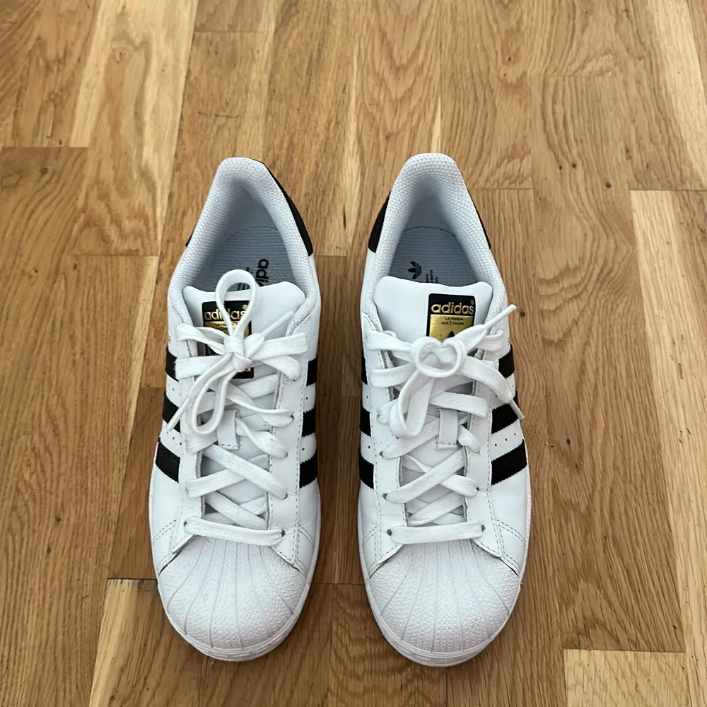 Adidas skor använda 1 gång och ser ut som nya! . Skor.