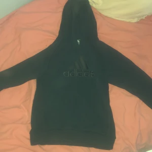 Adidas hoodie - It’s a couple of years old, from when I was younger. Haven’t worn it much. It’s in good shape not broken anywhere.