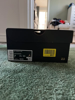 Jordan 1 - Välskötta och säljs för att jag inte kan ha dem längre