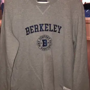 Säljer en riktigt fin grå tröja i märket ”Berkeley” som är i bra skick. Säljer den eftersom jag bytt stil och den passar inte då. (RIKTIGT BRA PRIS)