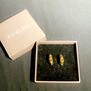 Edblad öronhängen - Super fina öronhänge från Edblad. Säljer dom pågrund av att jag har börjat använda silver istället❤️