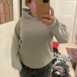 Hoddie  - Helt vanlig lite tunnare hoddie!!