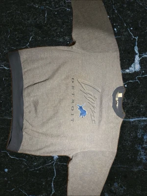 Grå Detroit Lions sweatshirt - Snygg grå sweatshirt med Detroit Lions-tryck och blått lejon på bröstet. Tröjan har ribbade muddar vid ärmslut, hals och nederkant i mörkgrått. Perfekt för dig som gillar amerikansk fotboll och vill ha en sportig look.