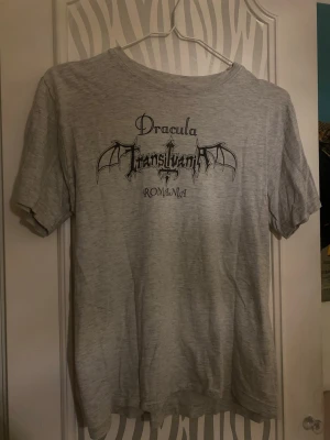Grå Dracula Transylvania t-shirt - Grå t-shirt med tryck i svart där det står 'Dracula Transylvania Romania' och har fladdermusvingar som motiv. T-shirten har rund hals och korta ärmar. 