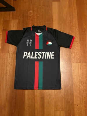 Svart Palestina fotbollströja - Snygg svart fotbollströja med texten 'PALESTINE' på bröstet och vertikala ränder i rött och grönt. Tröjan har röda detaljer vid ärmsluten och halsen samt emblem och karta på bröstet. Tillverkad i lätt och ventilerande material, perfekt för träning eller match.