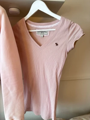 Abercrombie T shirt - T shirt från abercrombie i stl L men passar som en S. Bra skick förutom en lagning längsned. V ringad och har en älg i brunt 