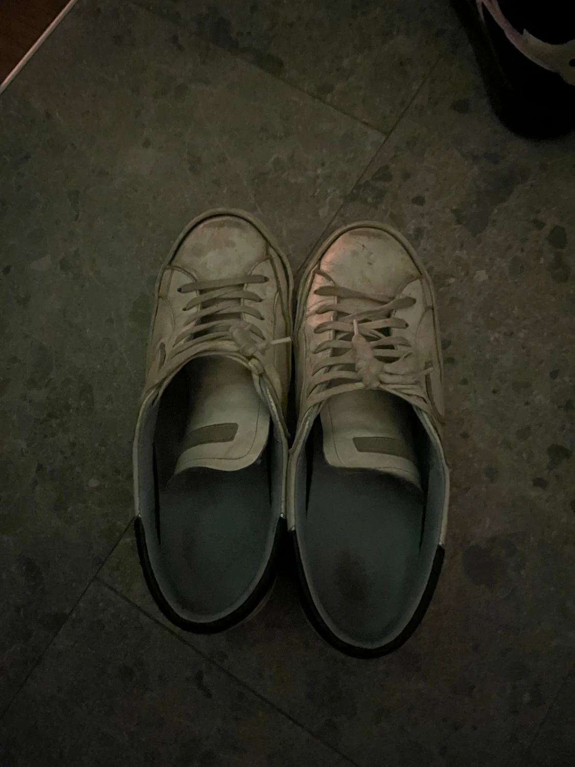 Phillipe model skor  - 2