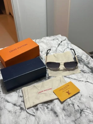 Luis Vuitton glasögon  - Använda cirka 2-3 gånger, vill resa bort saker 