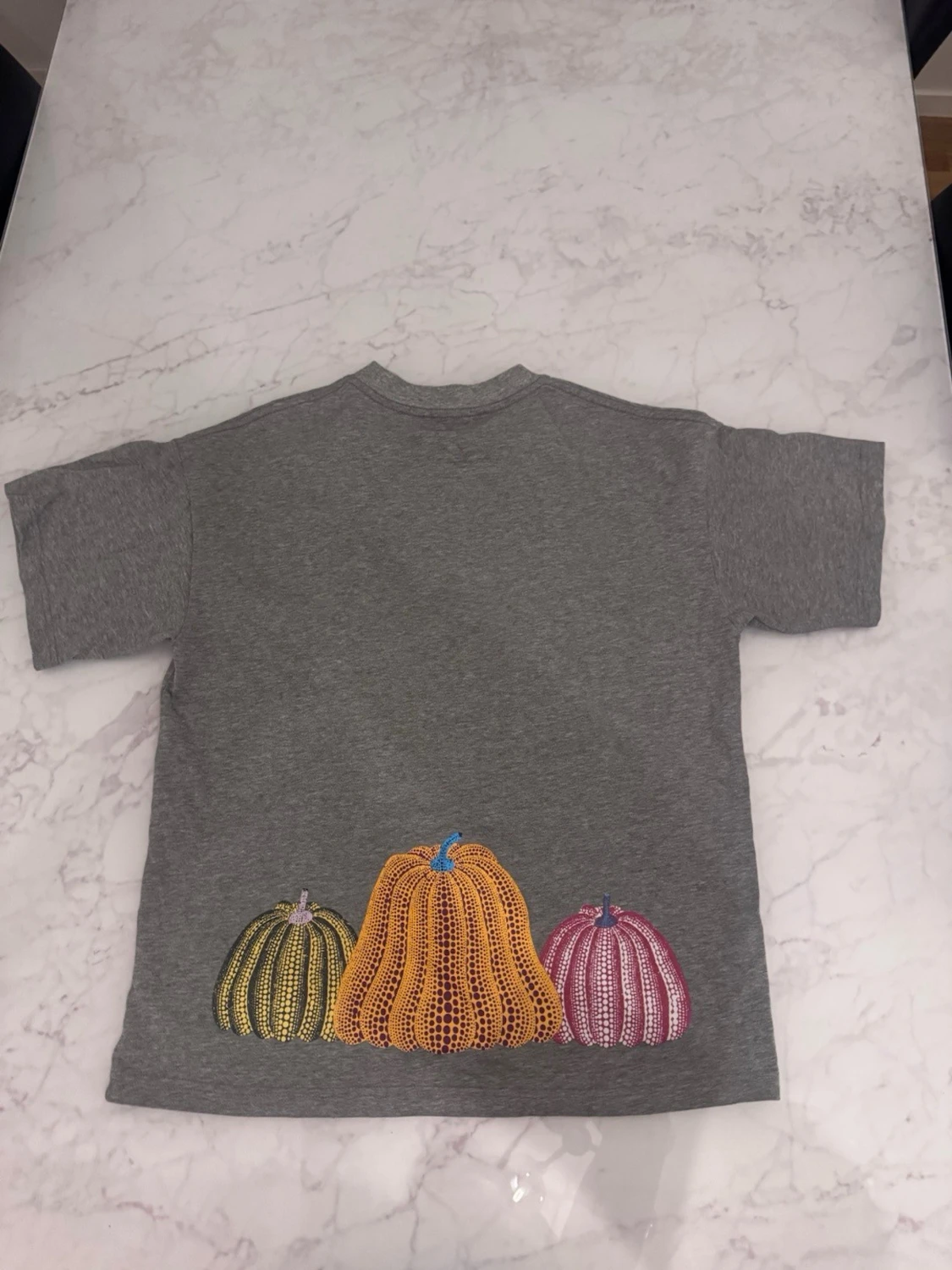 Grå t-shirt med färgglada pumpor - 1