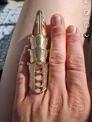 Guldig rustik statementring - Cool och unik guldig statementring i rustik design som täcker nästan hela fingret. Ringen har detaljerade mönster och utskurna partier som ger en edgy och futuristisk känsla. Perfekt accessoar för att sticka ut och skapa en personlig stil.