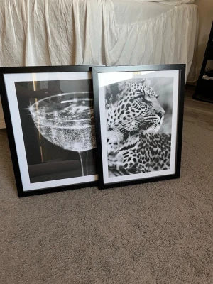 Posters från desenio - I storlek 30x40, 70 kr för en, paketpris vid kör av flera🥰