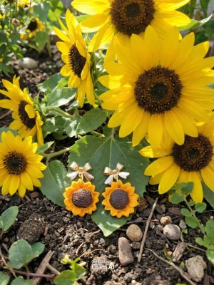 Örhängen i Polymerclay "Solrosor" - Ca 3 x 2 cm.  Härdade i ugn. Alla smyckesdelar är i äkta silver,  guldpläterat eller rostfritt stål. Ett lätt material som inte tynger ner öronen. Allergivänligt❤️