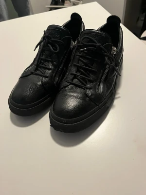 Giuseppe zanotti skor - Giuseppe zanotti skor bra skick storlek 46, utan låda därför billigt