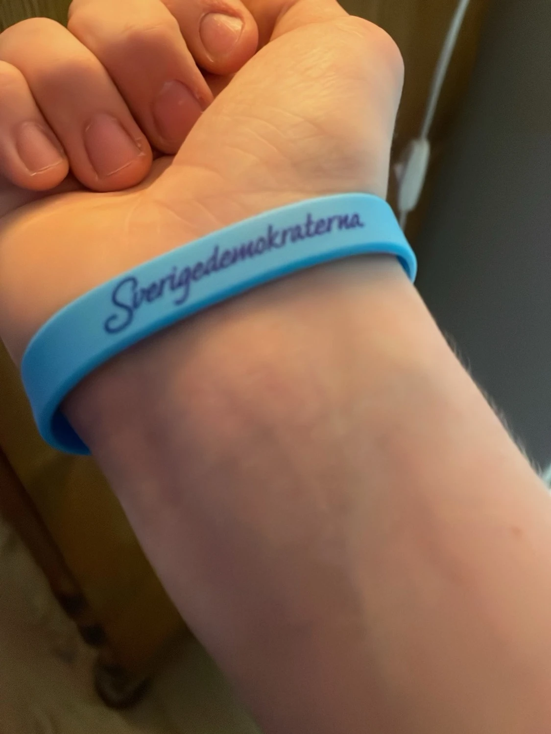 Sverigedemokraterna armband  - 2