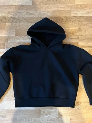 Svart saint alexander  - En stilren svart hoodie med huva och långa ärmar. Hoodien har en klassisk passform och ribbade muddar vid ärmslut och nederkant. Perfekt för dig som gillar en enkel och clean look. Materialet känns mjukt och bekvämt, perfekt för vardagsbruk. Materialet är tjockt och hoodien är lite cropped, den passae både för s och m. Priset kan diskuteras!!