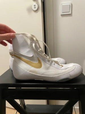 Nike boxningsskor - Skicken är så som ni ser på bilden som är köpta för 1499kr
