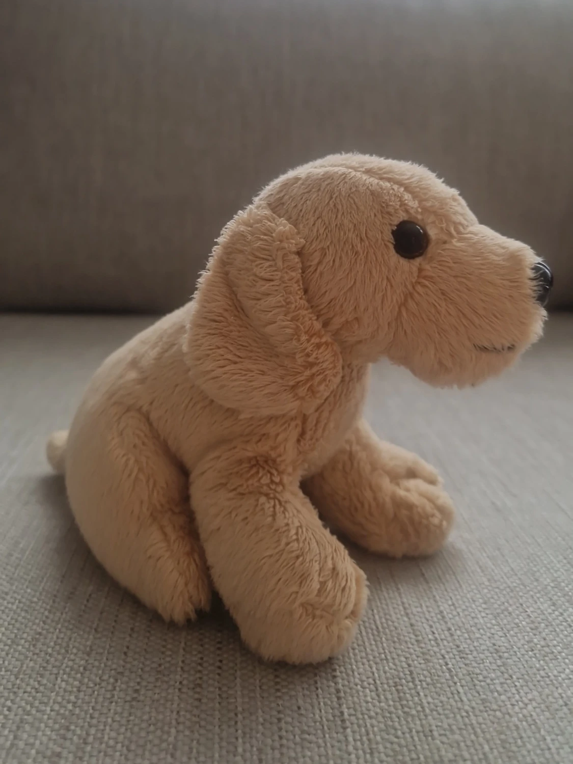 Mjukisdjur hund beige
