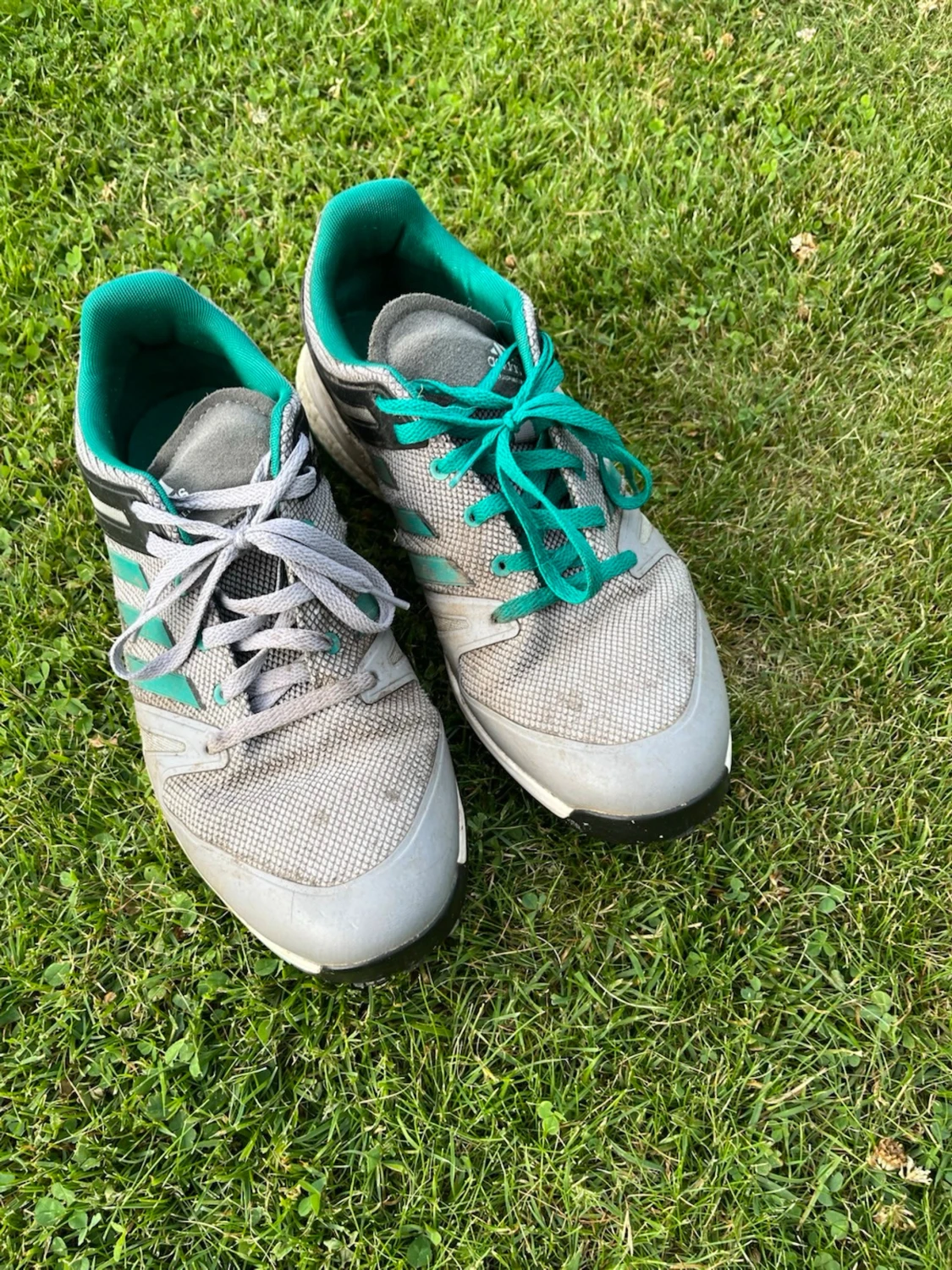 Grå sneakers med turkosa detaljer - 1