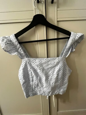 Ljusblå topp - Superfin ljusblå topp från NA-KD med broderade detaljer och volangärmar. Toppen har knyt i ryggen och är croppad, perfekt till sommaren💕💕 De står st 40 men jag har XSeller S och den passa perfekt💖