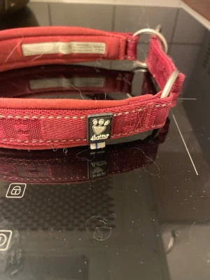 Halsband Hurtta - Fint vinrött halsband från Hurtta. Passar större hund. Mått på bild