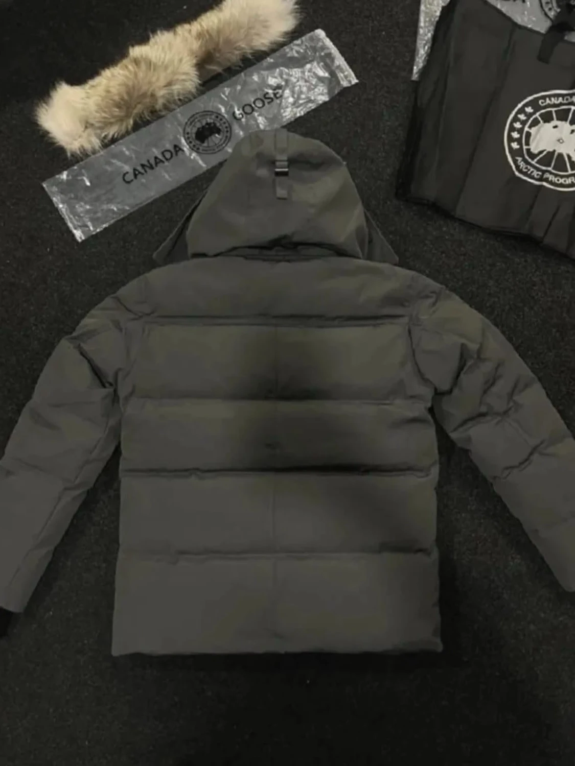 Grå dunjacka från Canada Goose - 1