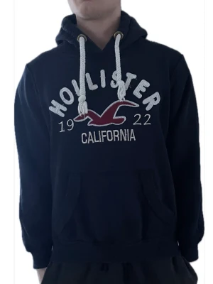 Hollister Hoodie - Grymt skick Står storlek XL men passar L/M Modellen är 190cm Endast 499kr för följare Skicka färna prisförslag och fråga frågor
