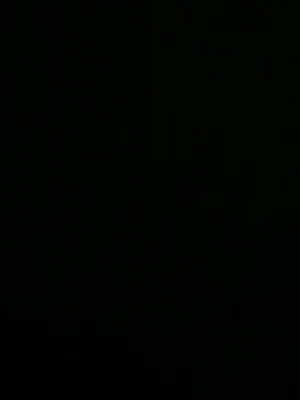 Okänd vara - Bilden är för mörk för att identifiera varan eller ge en detaljerad beskrivning.