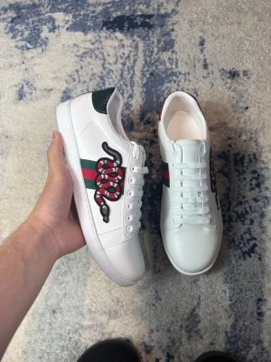 Gucci ace snake - fina skor