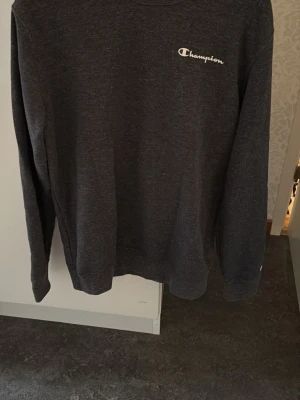 Mörkgrå sweatshirt från Champion - Mörkgrå sweatshirt från Champion med klassisk logga broderad i vitt på bröstet. Tröjan har rund halsringning, långa ärmar och ribbade muddar vid ärmslut och nederkant. Perfekt för en avslappnad och sportig stil.