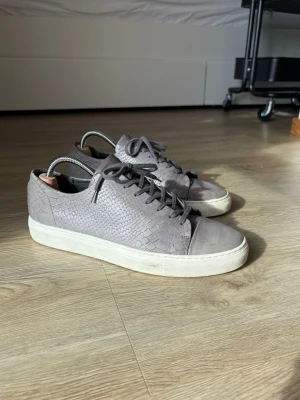 Axel Arigato Python Sneaker - Snygga grå sneakers med ormmönstrad läderimitation och vita sulor. Skorna har klassisk låg design med snörning och diskreta detaljer. Perfekta för dig som gillar stilrena och trendiga sneakers.Över lag i väldigt bra skick. Kolla gärna in mina andra annonser också