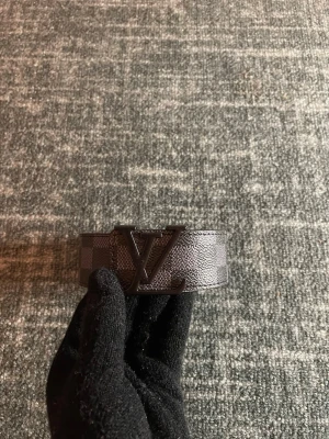 Lvbälte - Det bölte från oss säkra eran innan det tar slut 