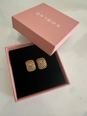 Örhängen - Helt nya örhängen ifrån Edblad! Aldrig använda och sååå snygga 💕