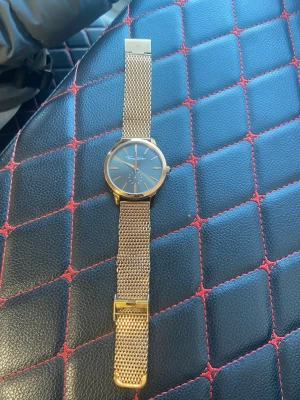 Guldig mesh-klocka från Thomas Sabo - Stainless steel klocka från Thomas Sabo med guldig mesh-länk. Klockan har minimalistisk design med tunna visare och index, samt ett elegant spänne. Perfekt accessoar för att lyfta din outfit. Klockan har ett värde på 1400 men priset kan diskuteras vid snabb affär! 