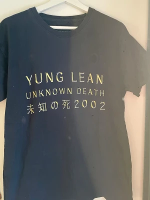 Yung Lean  - Yung Lean merch. Inköpt 2019 eller 2020. Ganska liten i storlek, är en L men sitter mer som en M skulle jag säga. Fint skick annars, förutom att trycket på ryggen börjat fadea lite. 