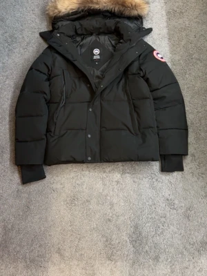 Canada goose jacka - Säljer en goose jacka. Ny skick bara drag kedjan som är lite förstöd men går att fixa.