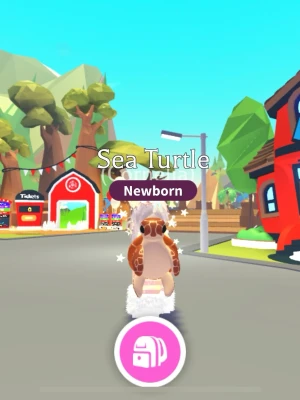 No pot Sea Turtle  - Säljer en no potion sea turtle! 