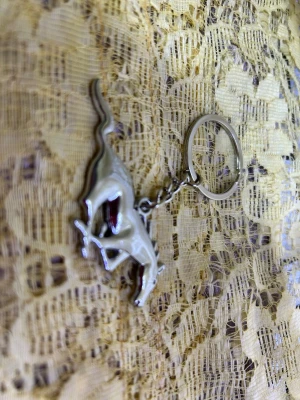 Mustang Nyckelring - Säljer en metallnyckelring med en silverfärgad springande häst som hänge. Nyckelringen har en klassisk rund ring och hästen har fina detaljer. Perfekt accessoar för dig som gillar hästar eller vill ha något unikt till dina nycklar. Finns fler kvar , helt ny 