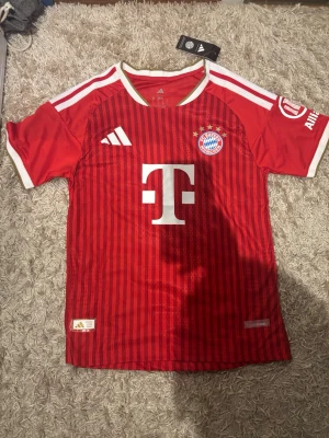 Röd FC Bayern München matchtröja 26/27 - Säljer en röd FC Bayern München matchtröja från Adidas med vita detaljer och klubbmärke på bröstet. Tröjan är ifrån den nu kommande säsongen 26/27. Storlek S. Pris kan Diskuterar vid snabb affär.