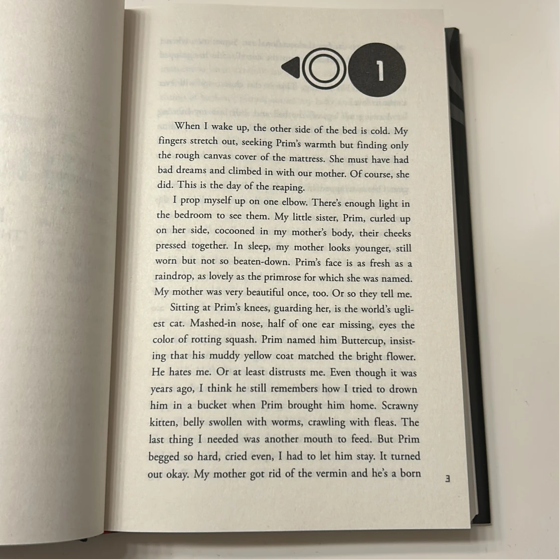 The Hunger Games Four Book Collection - 4