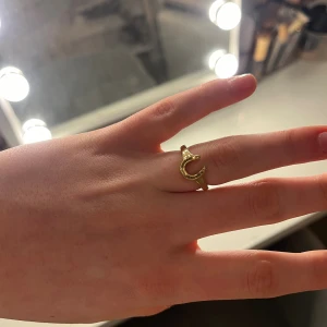 Guldring från Edblad  - Snygg guldfärgad ring med en hästskoformad detalj framtill. Hästskon är dekorerad med små glittrande stenar som ger ringen en unik och trendig look. Perfekt accessoar för dig som gillar detaljer med lite extra bling.