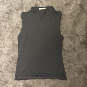 Mörkgrå ärmlös topp från Weekday - Säljer en stilren mörkgrå ärmlös topp från Weekday med hög hals. Toppen har en clean och minimalistisk look, perfekt att styla med jeans eller kjol. Gjord i mjuk bomull för en skön känsla hela dagen.