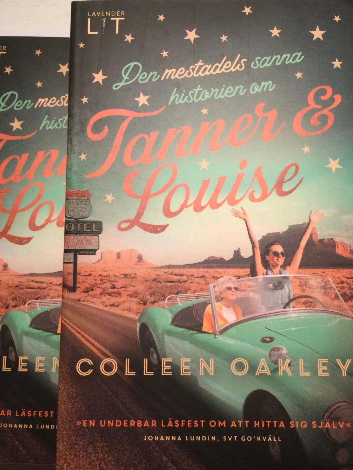 Den mestadels sanna historien om Tanner och Louise av Colleen Oakley 