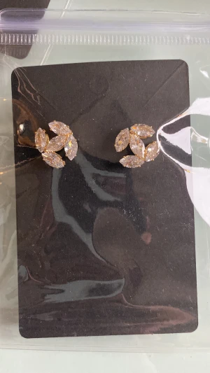 Örhängen  - Nya örhängen