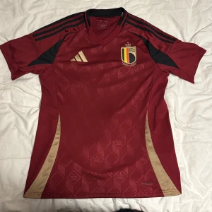 Belgien Adidas fotbollströja  - Riktigt snygg Belgien tröja som är perfekt för fotbollsälskare! ⚽️Tröjan har de klassiska belgiska färgerna och har ett snyggt mönster. Tröjan är köpt på Unisport. Använd ett fåtal gånger! Pris kan diskuteras💸