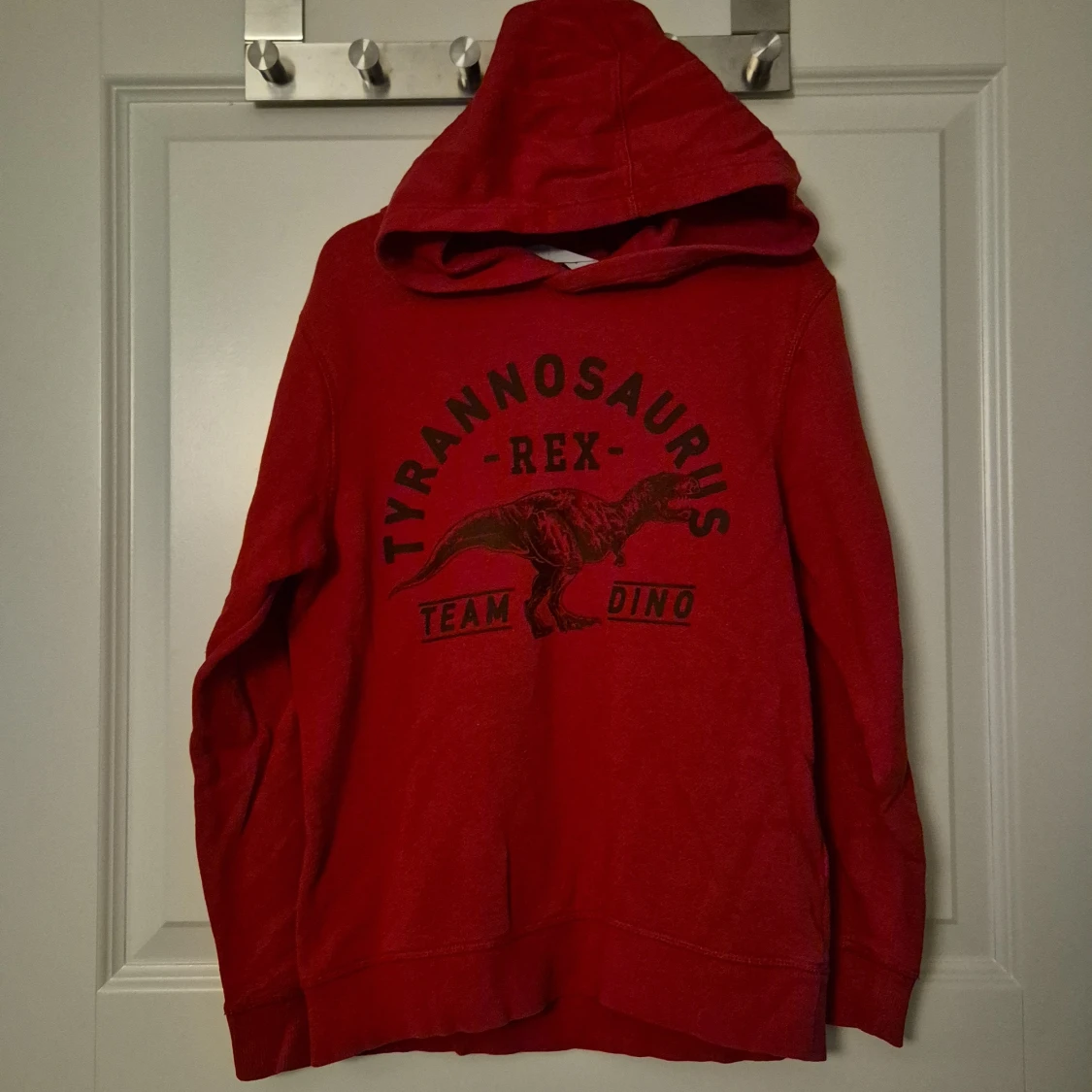 Röd hoodie med T-Rex från H&M