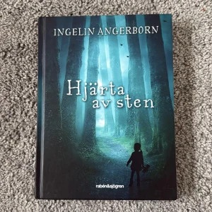 Hjärta av sten - En mystisk och spännande bok med en suggestiv omslagsbild av en skog och en siluett av ett barn. Perfekt för dig som gillar gåtfulla berättelser och vill dras in i en magisk och lite kuslig stämning. Passar ungdomar och unga vuxna som söker något utöver det vanliga. 