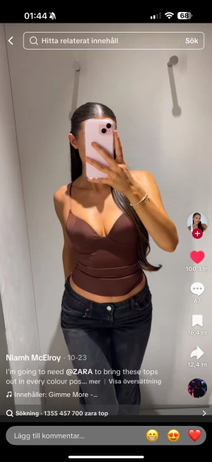 SÖKER Brun/svart korsett-topp från Zara - SÖKER FÖR RIMLIGT PRIS ALT BYTE