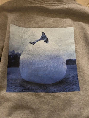 Grå harry styles - köpt under touren 2023, andvänd men fint skick. skulle säga att den är en xs/s💕