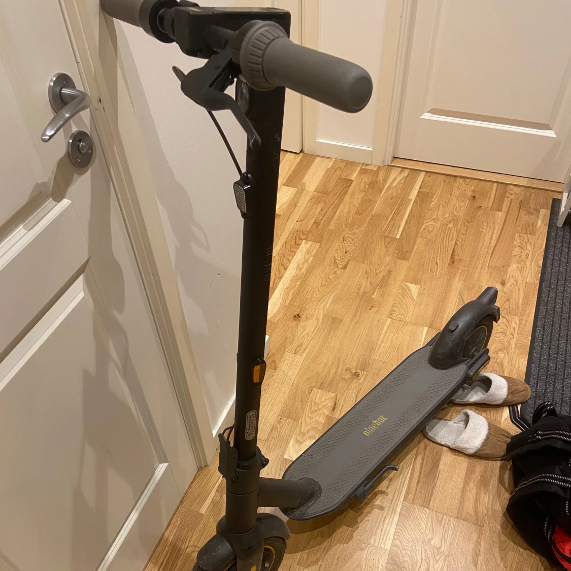 Ninebot KickScooter Max G30