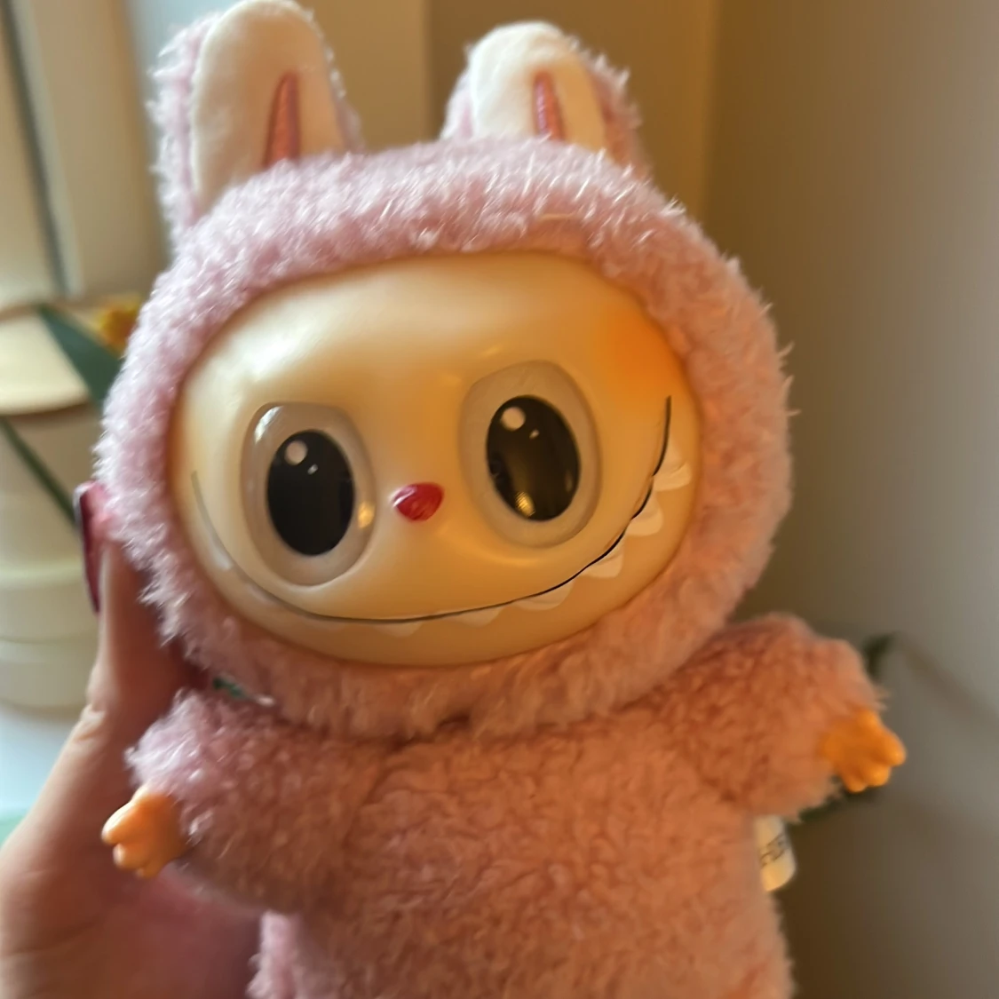 Lafufu lychee berry  - 3